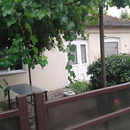 Pensiunea Casa Didina Bacău Екстериор снимка