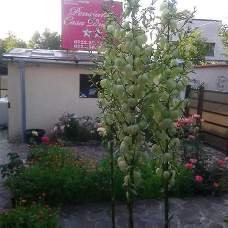 Pensiunea Casa Didina Bacău Екстериор снимка