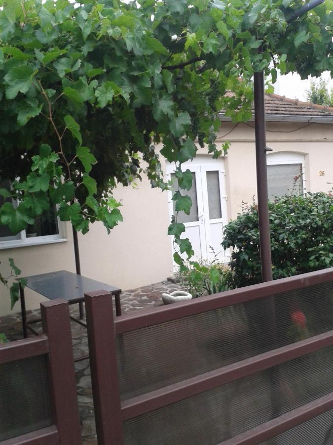 Pensiunea Casa Didina Bacău Екстериор снимка