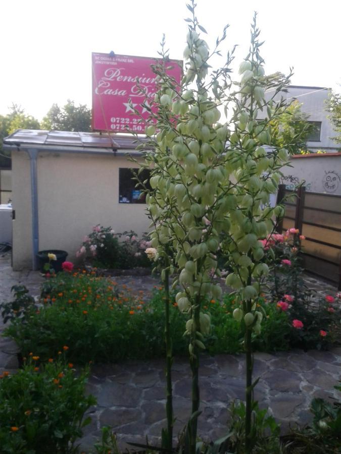 Pensiunea Casa Didina Bacău Екстериор снимка
